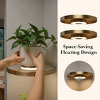 🌿 Floating Plant Shelf with Built-in Ambient LED Light