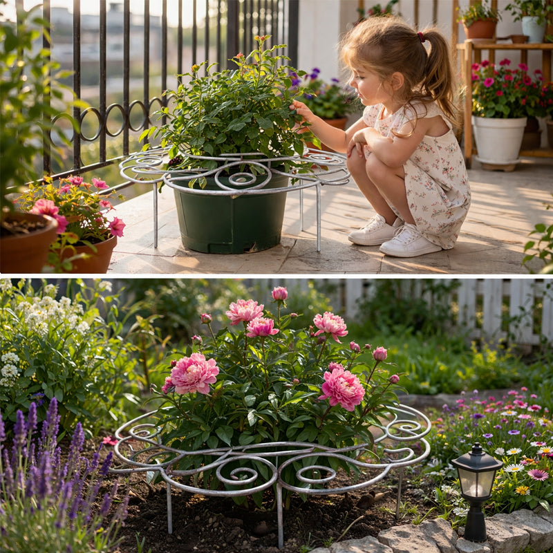 Decorative Garden Plant Support Ring