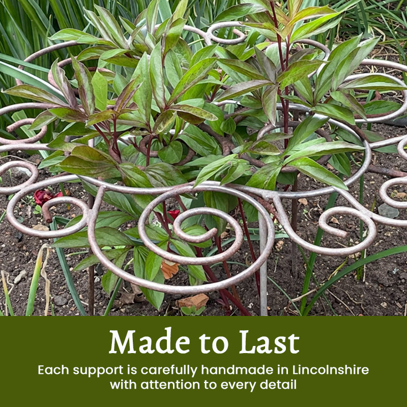 Decorative Garden Plant Support Ring