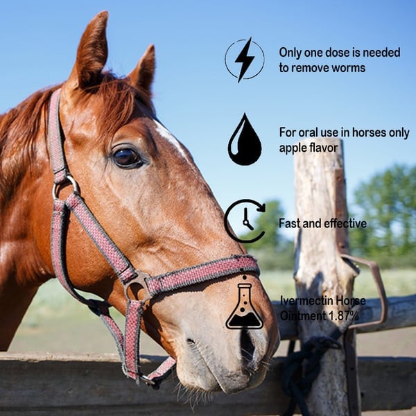 🔥Last Day 49% OFF - ivermectin Horse Paste 1.87% 6.08g Tubes