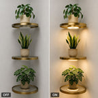 🌿 Floating Plant Shelf with Built-in Ambient LED Light